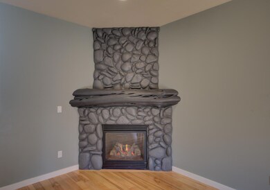 Gas FP in Living Room