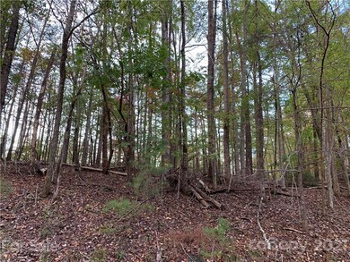 30 Granny Smith Ln unit 30, Lake Lure, NC 28746 - photo 7