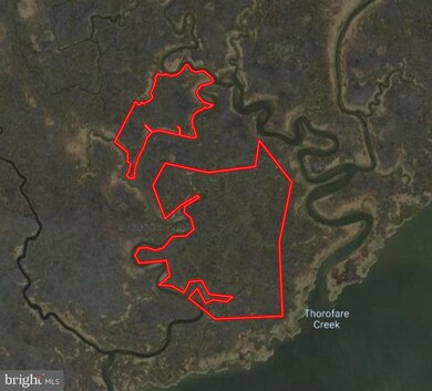 NE/S TODDVILLE ROAD Toddville Rd, Toddville, MD 21672 - photo 2