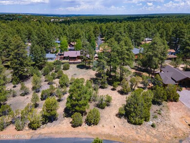 DJI_0344