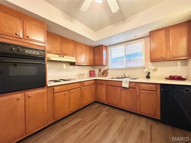 4228 Fatima Dr, St. Louis, MO 63123 - photo 5