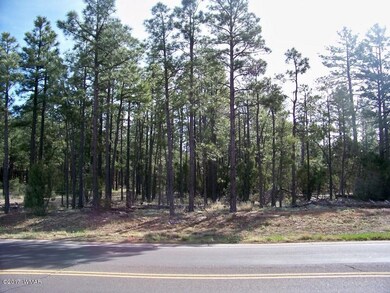 951 S Central Ave, Show Low, AZ 85901 - photo 3