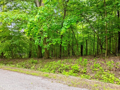 0 Running Deer Tr unit 1322139, Caryville, TN 37714 - photo 2