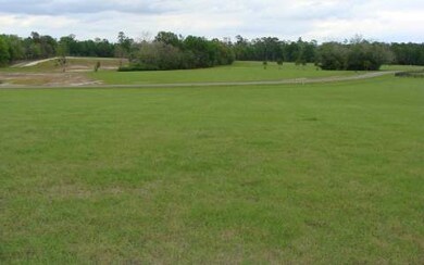 LOT15 Mandiba Dr, Lake City, FL 32024 - photo 2