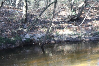 6.66 Agricola Latonia Rd, Lucedale, MS 39452 - photo 7