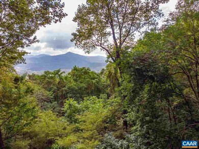 36 Gray Squirrel Ln, Nellysford, VA 22958 - photo 3