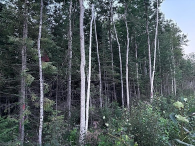 TBD U S Highway 71, Littlefork, MN 56653 - photo 6