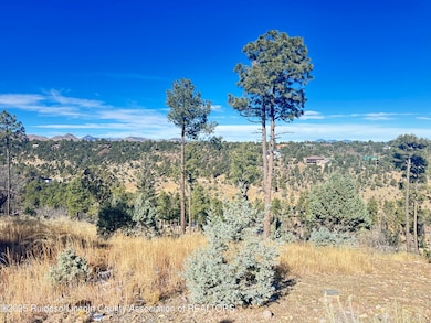 000 El Camino Dr, Alto, NM 88312 - photo 2