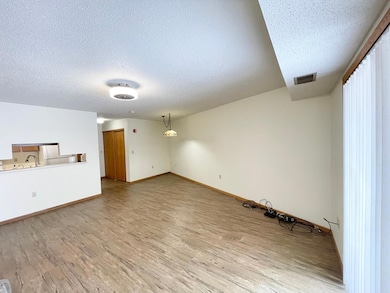 401 S County Road 5 unit 112, Springfield, MN 56087 - photo 7