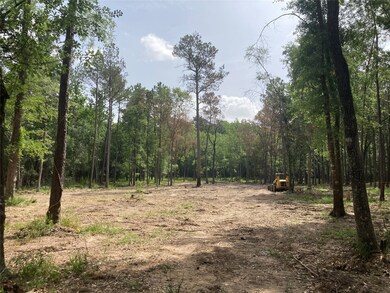 0 Miller Rd, Magnolia, TX 77354 - photo 3