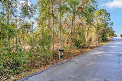 1716 E Bismark St, Hernando, FL 34442 - photo 5