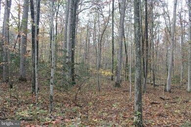 0 S Pines Rd, Lee, VA 20186 - photo 7