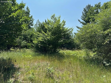 77 E Starlight Ridge Cir, Onekama Township, MI 49675 - photo 4