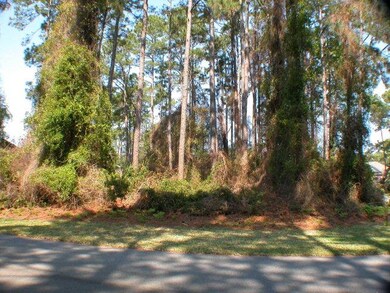 110 Augusta, St. Simons Island, GA 31522 - photo 5