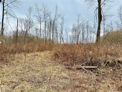 6990 Woodard Rd, Andover, OH 44003 - photo 2