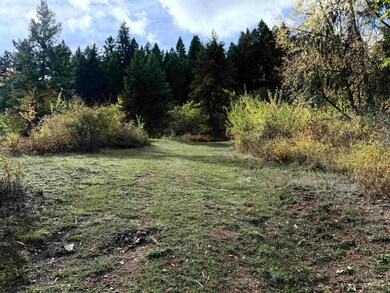 289 Freedom Way, Kooskia, ID 83539 - photo 5