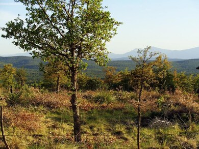 12 Hoot Owl Trail, Payson, AZ 85541 - photo 2