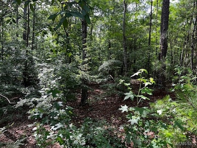 Lots of vegetation
