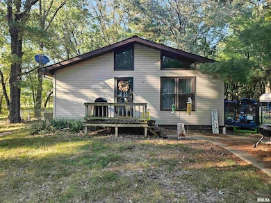 10322 Mine 24 Rd, Benton, IL 62812 - photo 5