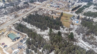 0 V L Northland Dr, Reed City, MI 49677 - photo 5