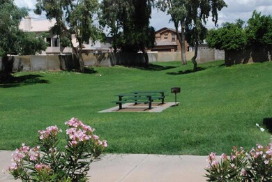 Play Area