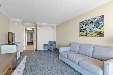 1105 S Ocean Blvd unit 1210, Myrtle Beach, SC 29577 - photo 7