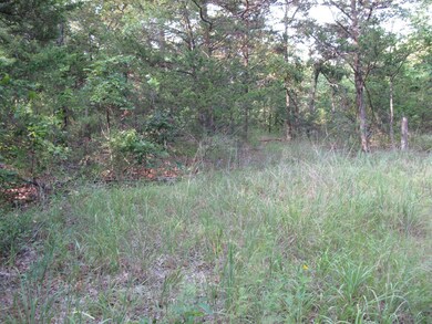 IMG_1356 (Large)
