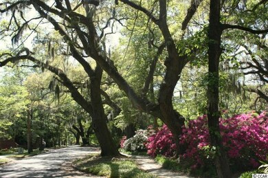 4411 Highway 554, Loris, SC 29569 - photo 7