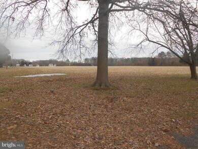 21041 Spring Cove Rd, Rock Hall, MD 21661 - photo 5