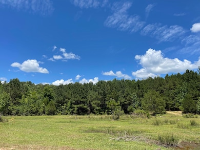 0 Cr 432 unit 22-2165, Rienzi, MS 38865 - photo 2