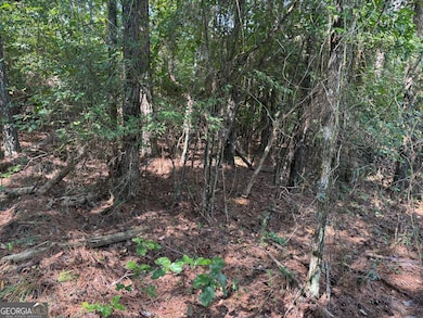 LT 5 Morton Bend Rd, Rome, GA 30161 - photo 7
