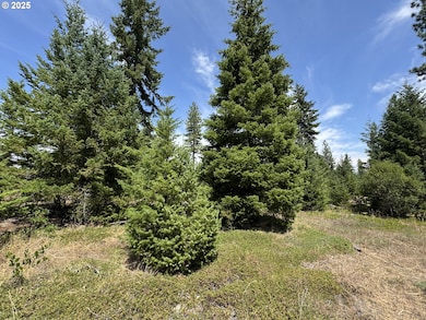 00 Ranger Rd, Goldendale, WA 98620 - photo 4