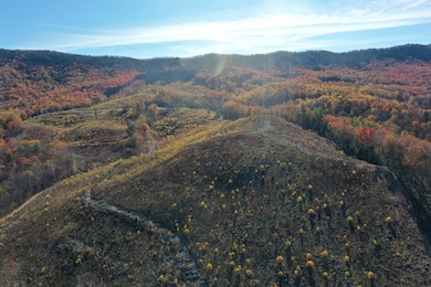 134 Ac. - S Buffalo Rd, Lexington, VA 24450 - photo 2