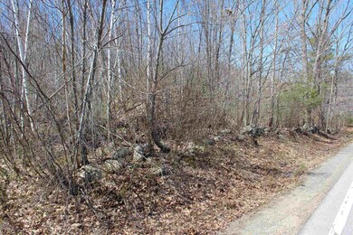 Lot 64 S Barnstead Rd unit 64, Barnstead, NH 03218 - photo 7