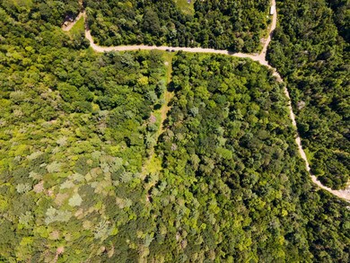 7-web-or-mls-DJI_0157