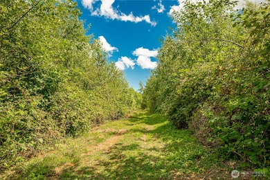 0 Sunrise Rd unit NWM2435037, Custer, WA 98240 - photo 6