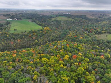 xxx 270th St, Norway Township, MN 55971 - photo 5