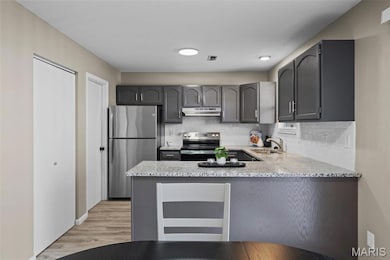 46 Meadow Run Ct unit 5, Saint Peters, MO 63303 - photo 2