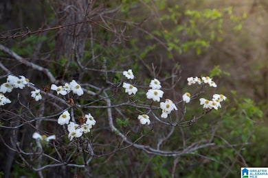 4947 U S 231 unit 5, Vincent, AL 35178 - photo 4