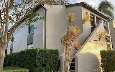 2599 Countryside Blvd, Clearwater, FL 33761 - photo 3