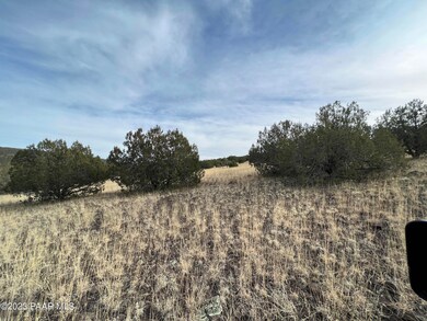 11975 W Dozer Ave, Ash Fork, AZ 86320 - photo 7