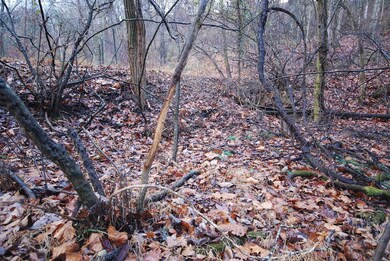 Lot 29 & 30 Staubwoods Dr, Romney, WV 26757 - photo 3