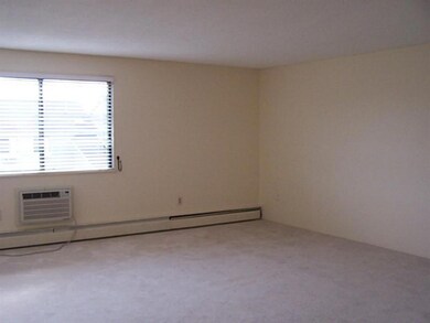 Living Room. Sunny, west-facing living room.