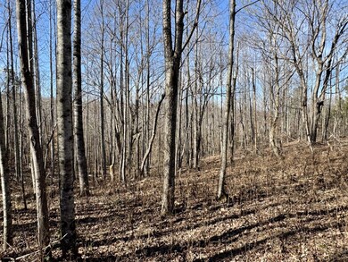 0 Lewisburg Hwy unit RTC3033027, Pulaski, TN 38478 - photo 4