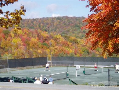Tennis Anyone?: Beautiful Har-Tru courts give way
