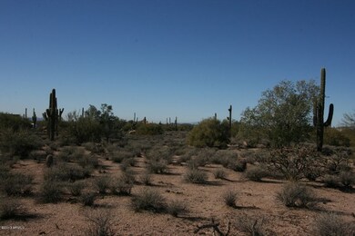 IMG_0006