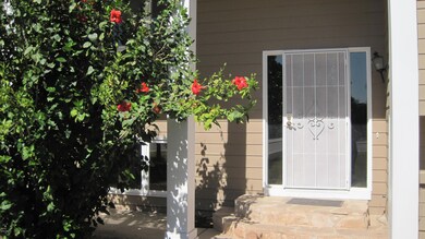 Security Door Entry