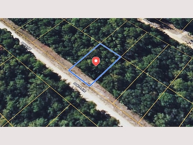 P44M+6GG Florahome unit Florida USA, Florahome, FL 32140 - photo 2