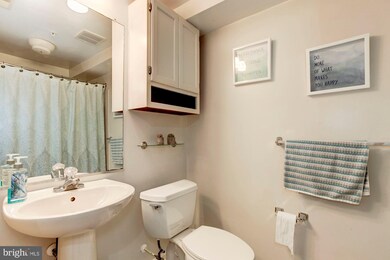 13103 Briarcliff Terrace unit 10-1001, Germantown, MD 20874 - photo 5