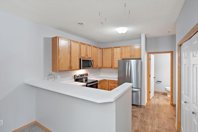 9625 Linden Ln N unit 302, Brooklyn Park, MN 55443 - photo 3